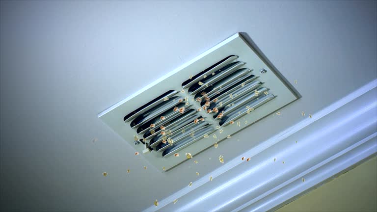Best Professional Duct Cleaning Services  in Markle, IN