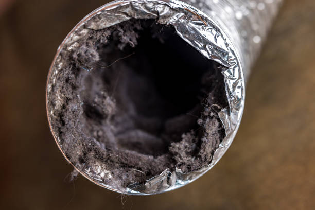 Best Ventilation Cleaning Services  in Markle, IN